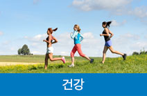 건강